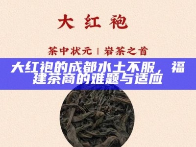 大红袍的成都水土不服，福建茶商的难题与适应