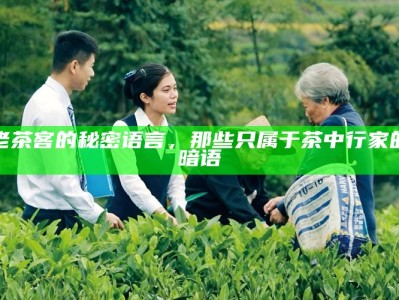 老茶客的秘密语言，那些只属于茶中行家的暗语
