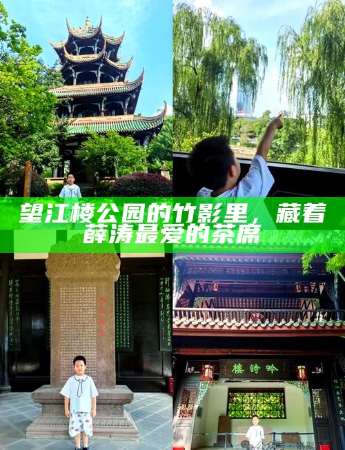 望江楼公园的竹影里,藏着薛涛最爱的茶席