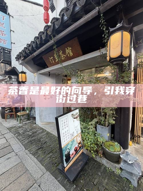 茶香是最好的向导,引我穿街过巷
