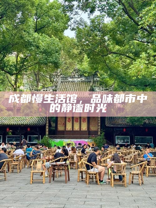 成都慢生活馆,品味都市中的静谧时光