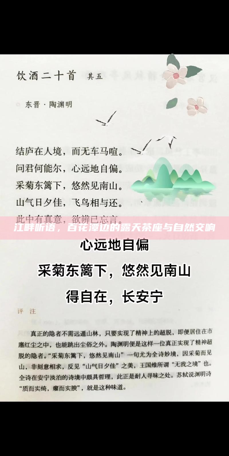 江畔听语,百花潭边的露天茶座与自然交响