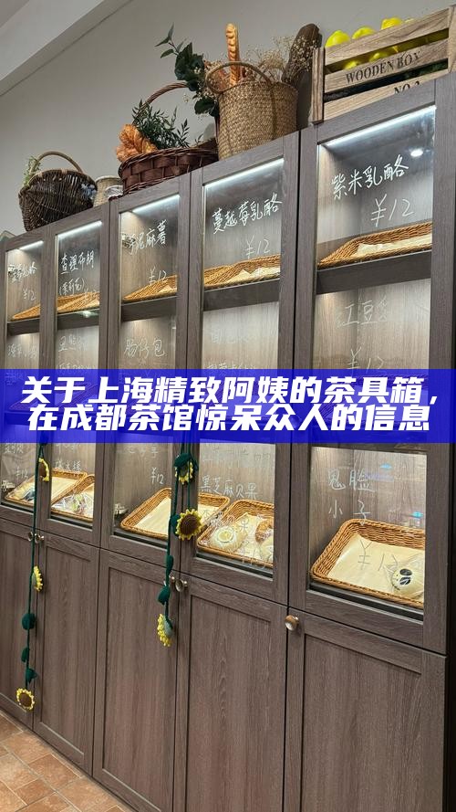 关于上海精致阿姨的茶具箱，在成都茶馆惊呆众人的信息